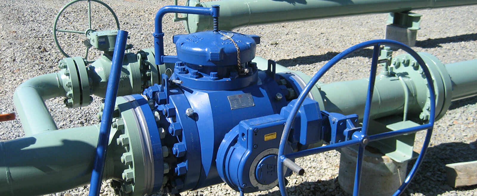 10 Inch 60 ASME Receiver Pig Valve